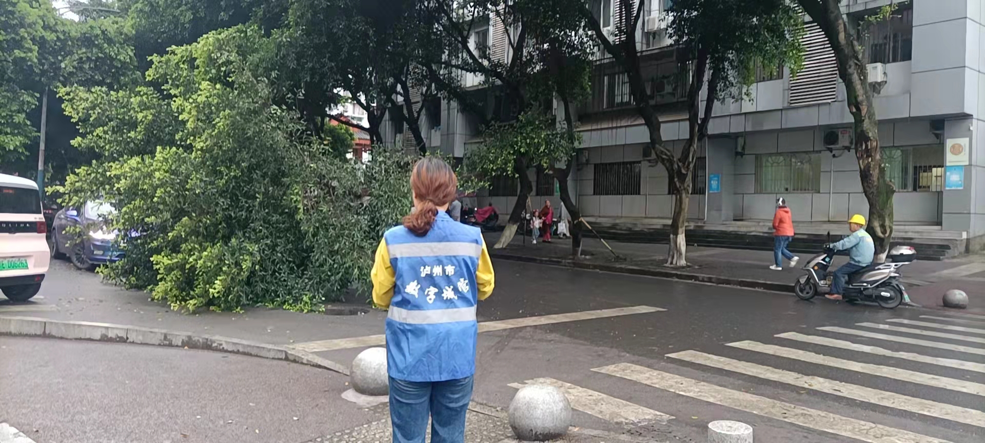 堅持雨后精準采集，共護市民出行安全