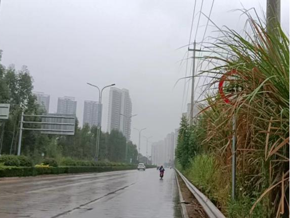 全力以赴戰寒潮，姜汁湯圓暖人心